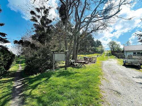 Foto - Grundstück in Ilsenburg (Harz) OT Darlingerode 175.000,00 € 110298 m²