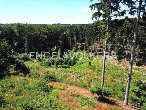 Foto - Grundstück zu verkaufen in Seevetal 1.975.000,00 € 6673 m²