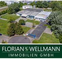 Halle in Wilhelmshaven 990.000,00 € 2147 m²