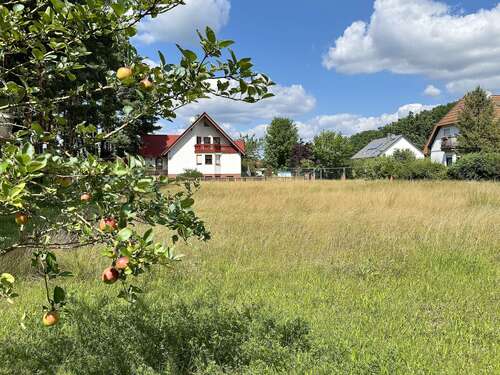 Foto - Grundstück zu verkaufen in Heidesee 482.000,00 € 2150 m²