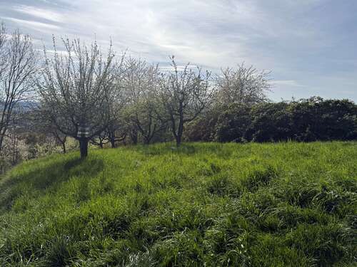 Foto - Grundstück zu verkaufen in Esslingen am Neckar 6.900,00 € 649 m²