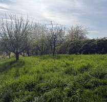 Grundstück zu verkaufen in Esslingen am Neckar 6.900,00 € 649 m²