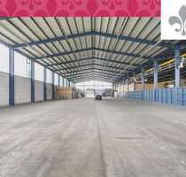 Halle in Werder (Havel) 4.050,00 € 900 m²