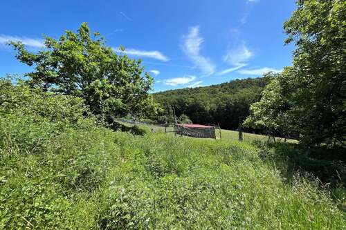 Foto - Grundstück zu verkaufen in Eltmann Roßstadt 105.000,00 € 889 m²