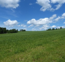 Wohnung zum Mieten in Geyer 599,00 € 98 m²