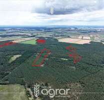 Grundstück zu verkaufen in Märkisch Luch Garlitz 239.000,00 € 288294 m² - Märkisch Luch / Garlitz