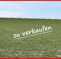 Grundstück in Plattling 278.000,00 € 27858 m²