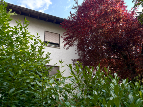 Foto - Haus zum Kaufen in Freiburg im Breisgau 395.000,00 € 110 m²