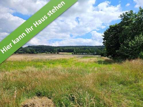 Foto - Haus zum Kaufen in Altenhagen 384.950,00 € 166 m²