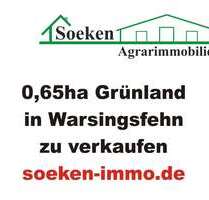 Grundstück zu verkaufen in Großefehn 13.000,00 € 13984 m²