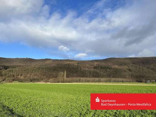 Foto - Grundstück in Bad Oeynhausen 50.000,00 € 19567 m²