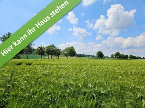Foto - Haus zum Kaufen in Bennigsen 378.450,00 € 109 m²