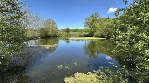 Foto - Grundstück zu verkaufen in Lütjensee 94.000,00 € 14284 m²