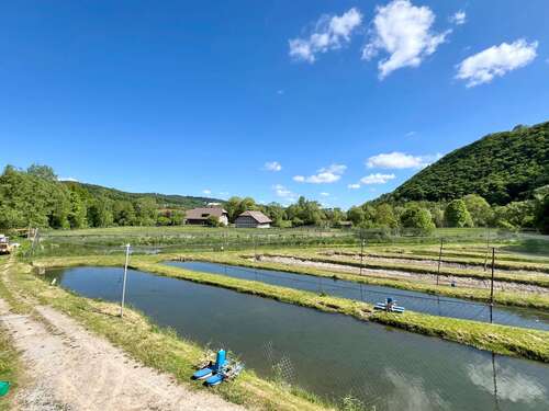 Foto - Spezialgewerbe in Marsberg 450.000,00 €