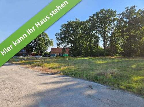 Foto - Haus zum Kaufen in Hoyerhagen 319.450,00 € 136 m²