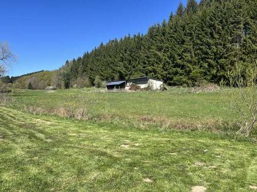 Foto - Grundstück zu verkaufen in Beinhausen 65.000,00 € 4155 m²