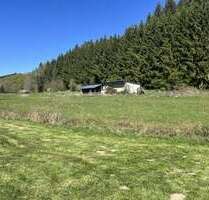Grundstück zu verkaufen in Beinhausen 65.000,00 € 4155 m²