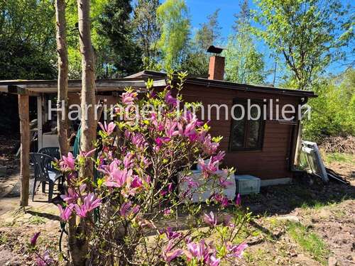 Foto - Haus zum Kaufen in Buchholz 17.000,00 € 38 m²