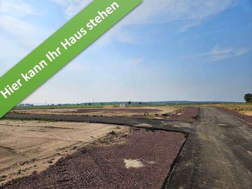 Foto - Haus zum Kaufen in Barmke 387.450,00 € 166 m²
