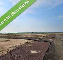 Haus zum Kaufen in Barmke 387.450,00 € 166 m²