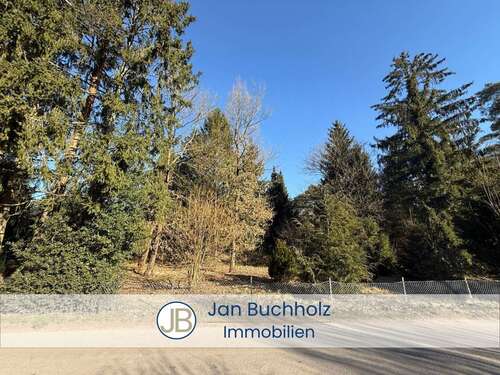 Foto - Grundstück zu verkaufen in Buchholz in der Nordheide Holm-Seppensen 430.000,00 € 1866 m²