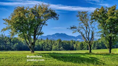 Foto - Haus zum Kaufen in Bernau am Chiemsee 1.750.000,00 € 140 m²