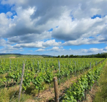 Haus zum Kaufen in Rüdesheim am Rhein 1.500.000,00 € 162 m²