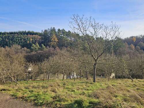 Foto - Grundstück zu verkaufen in Sundern (Sauerland) 85.000,00 € 678 m²