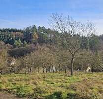 Grundstück zu verkaufen in Sundern (Sauerland) 85.000,00 € 678 m²