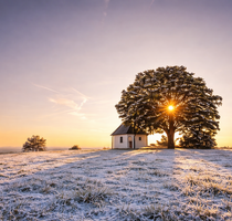 Wohnung zum Kaufen in Weiden 419.000,00 € 81.5 m²