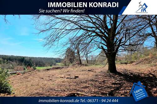 Foto - Grundstück zu verkaufen in Trippstadt 220.000,00 € 1458 m²