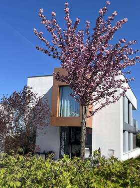 Foto - Haus zum Kaufen in Zwenkau 980.000,00 € 173 m²