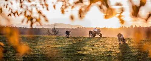 Foto - Grundstück zu verkaufen in Holzkirchen 690.000,00 € 605 m²