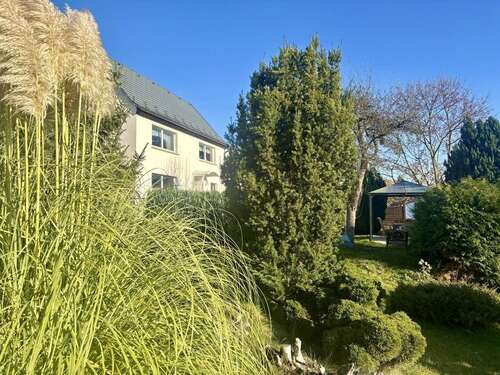 Foto - Haus zum Kaufen in Grimma 239.000,00 € 115 m²