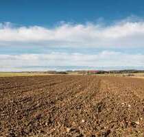 Grundstück zu verkaufen in Reutlingen-Reicheneck 6.500,00 € 1630 m²