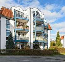 Wohnung zum Mieten in Dresden 310,00 € 33 m²