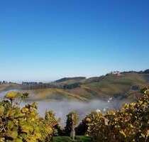 Grundstück zu verkaufen in Durbach 495.000,00 € 1167 m²