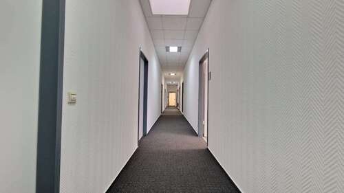 Foto - Wohnung zum Mieten in Mannheim 2.717,00 € 247 m²