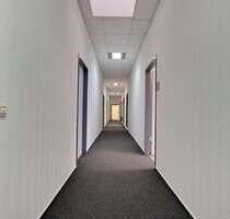 Wohnung zum Mieten in Mannheim 2.717,00 € 247 m²