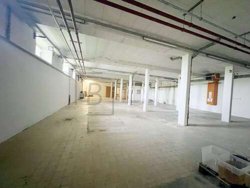 Foto - Halle in Görisried 1.280.000,00 € 3520 m²