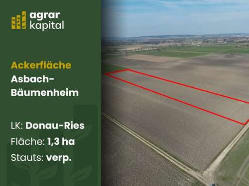 Foto - Grundstück in Asbach-Bäumenheim 359.000,00 € 13070 m²