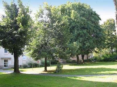 Foto - Wohnung zum Mieten in Iserlohn 379,00 € 43.89 m²