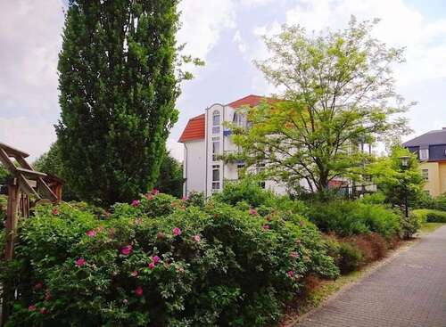 Foto - Wohnung zum Mieten in Dresden 300,00 € 33 m²
