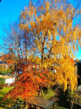 Foto - Wohnung zum Kaufen in Kirchseeon 339.000,00 € 74 m²