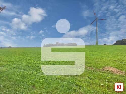 Foto - Grundstück in Bidingen 135.000,00 € 15570 m²