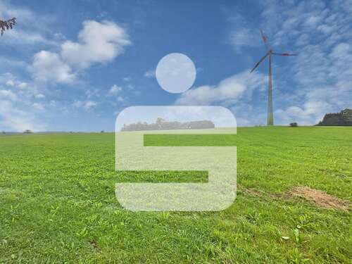 Foto - Grundstück in Bidingen 135.000,00 € 15570 m²