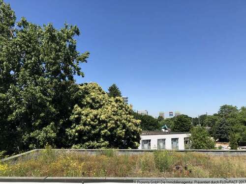 Foto - Wohnung zum Mieten in Düsseldorf 441,00 € 17.66 m²