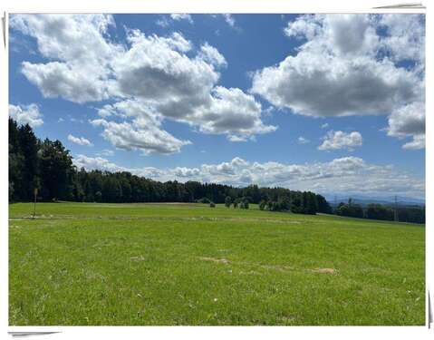 Foto - Haus zum Kaufen in Königsdorf 1.080.000,00 € 193 m²