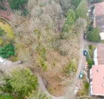 Grundstück zu verkaufen in Baden-Baden 80.000,00 € 3600 m²