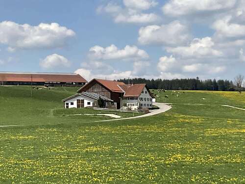 Foto - Haus zum Kaufen in Aitrang 595.000,00 € 155 m²